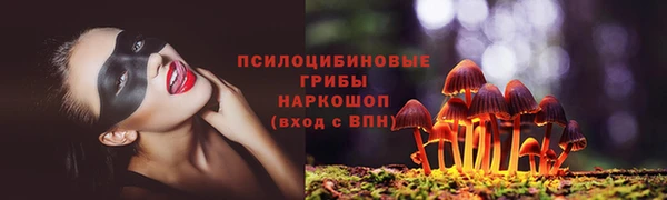 a pvp Арсеньев
