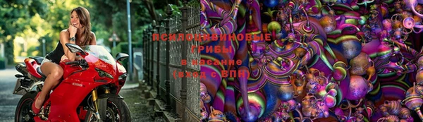 spice Армянск