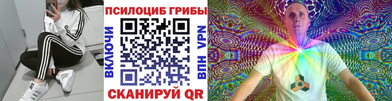 Галлюциногенные грибы Magic Shrooms  Пустошка 